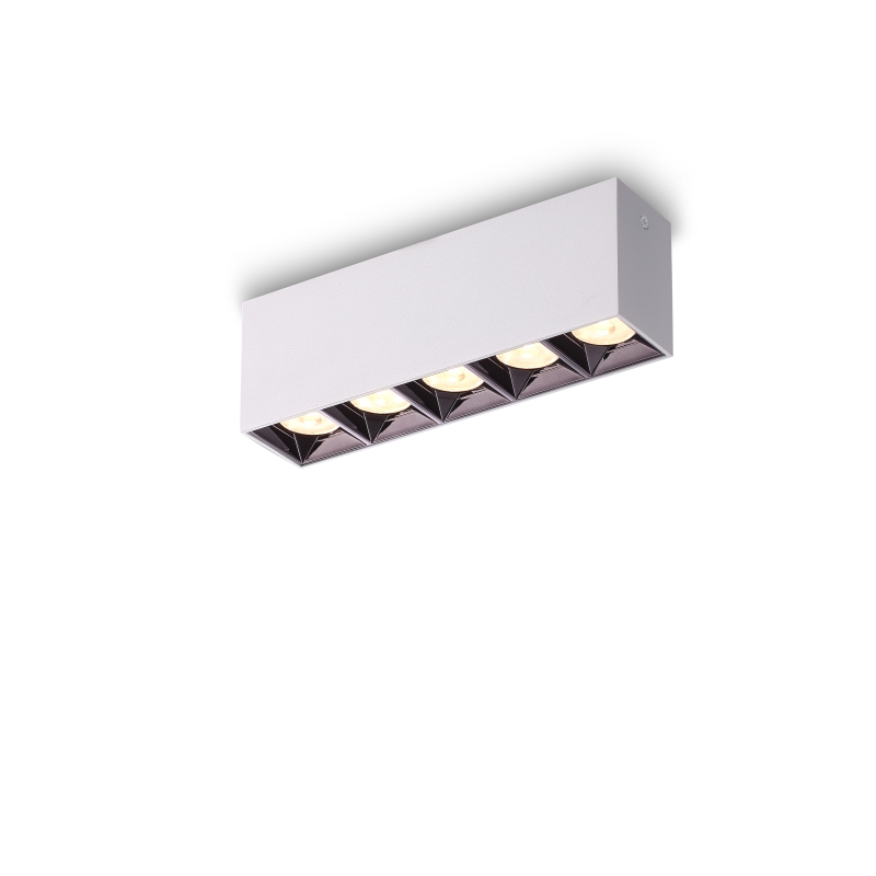 LBL713-WT-5*3W Led Surface Down Light