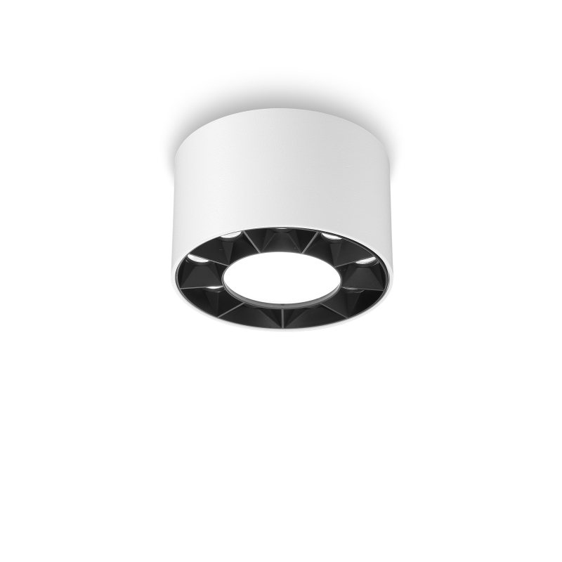 LBL717-10W Modern style led surface down light