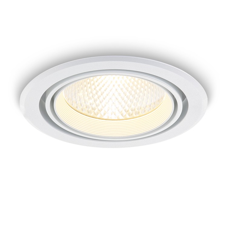 LDC208-20W-COB led recessed spot light