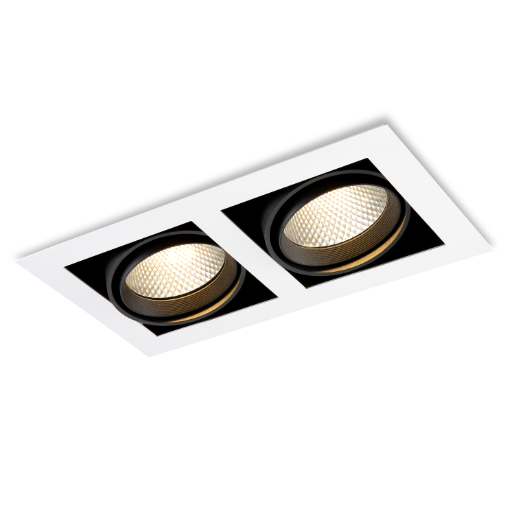 LDC212-20W-2*20W Cob led grille light