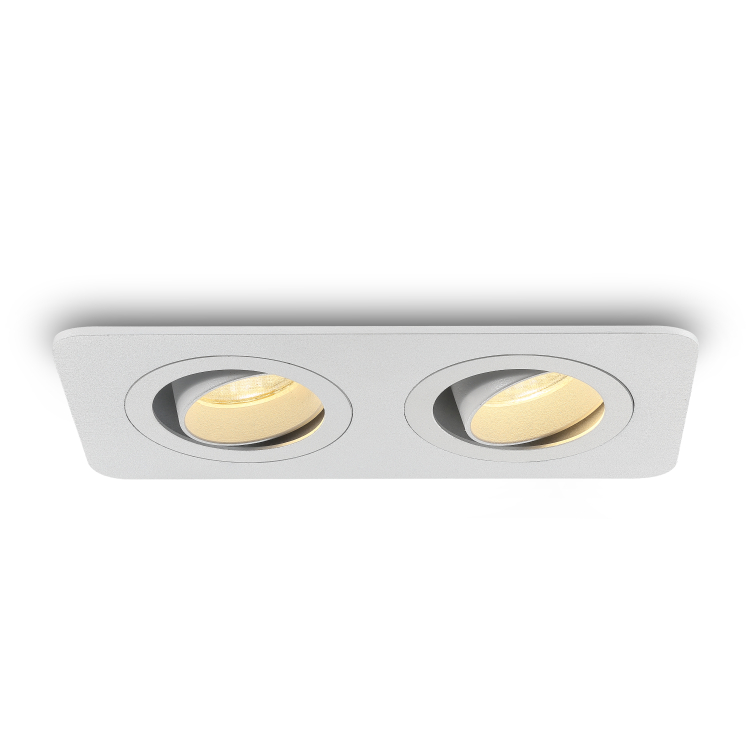 LDC995-WT-2*6W Cob led recessed spot light