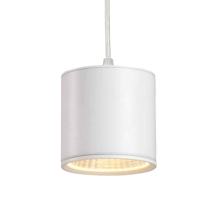LPL120-12W  Modern style led pendant light