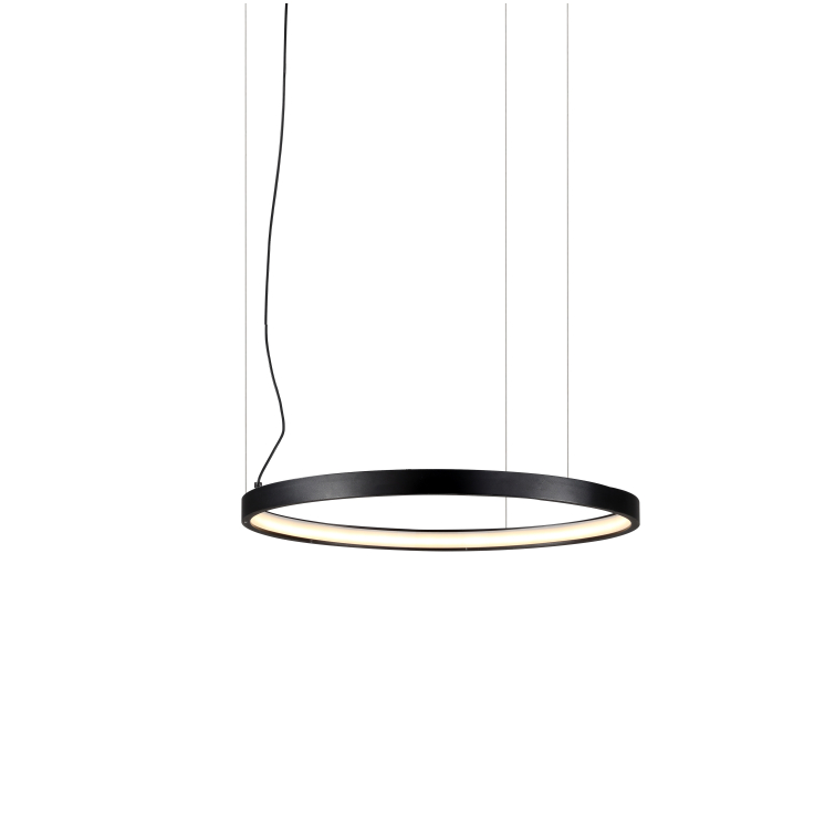 LPL252-The ring series led pendant lamp