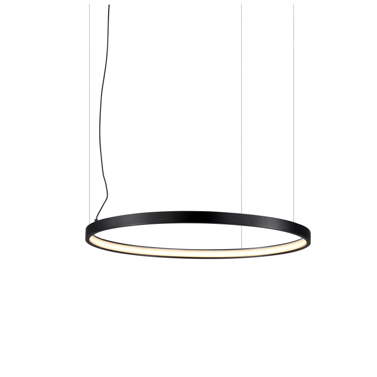 LPL253-The ring series led pendant lamp