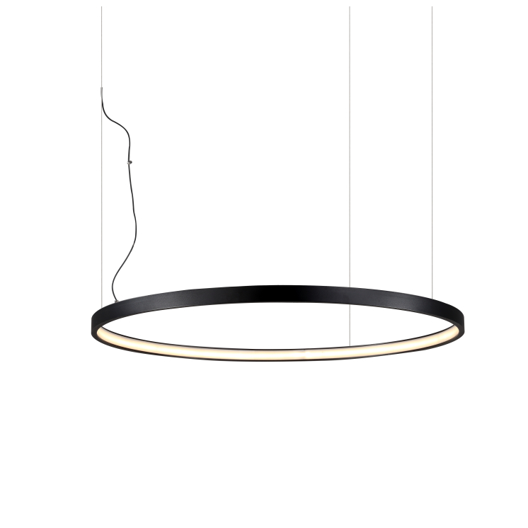 LPL254-The ring series led pendant lamp