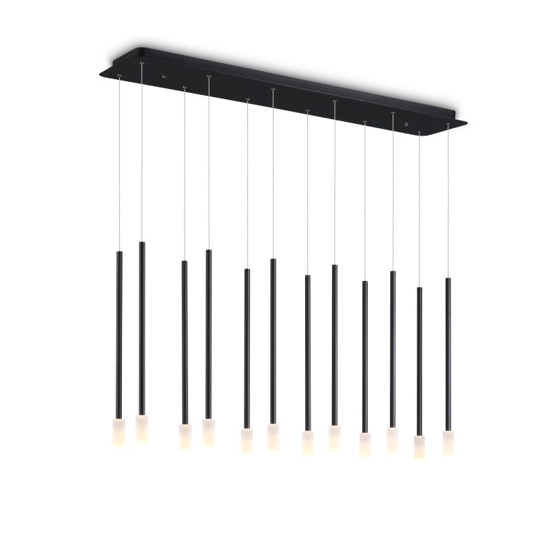 LPL383-BK-12*1W Minimalist led pendant light