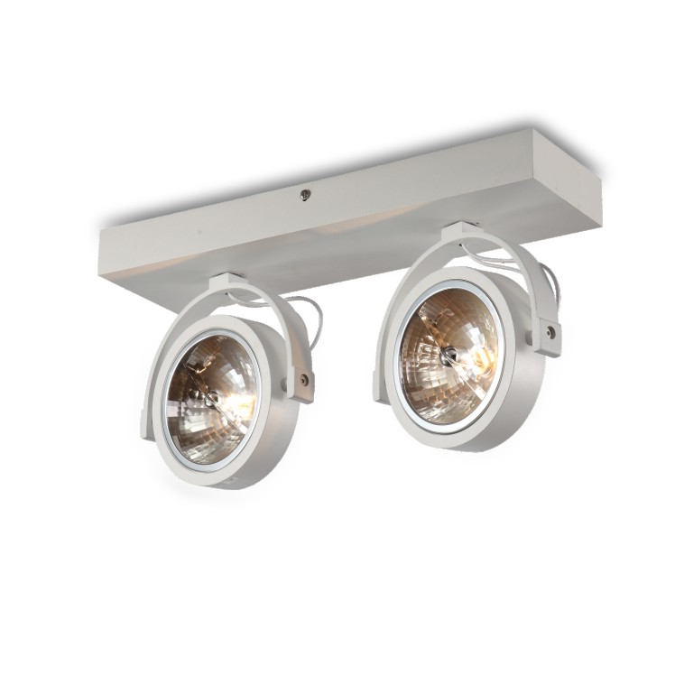 LSP129-WT-2*35W AR111 lamp casing
