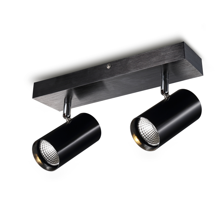 LSP164-BK-2*5W Cob led surface spot light