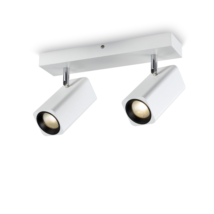 LSP169-2*6W Cob led surface spot light