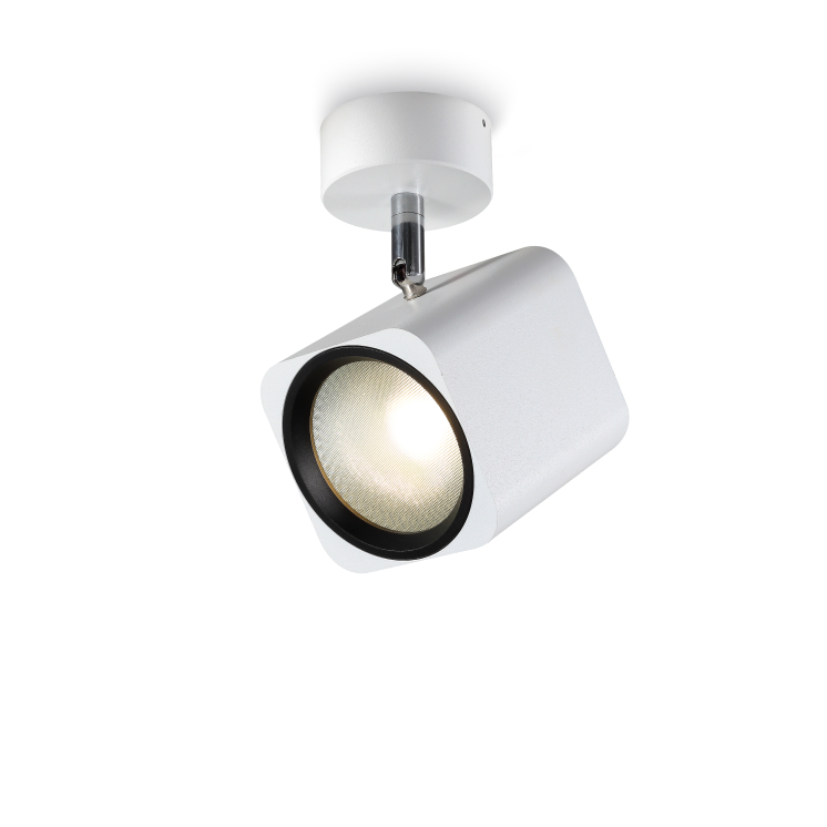 LSP171-12W Cob led surface spot light