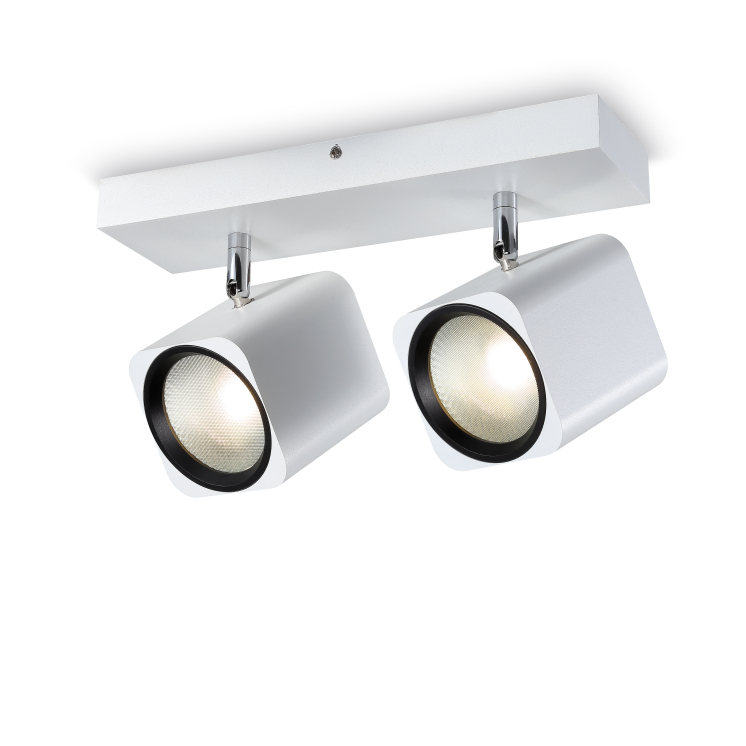 LSP172-2*12W Cob led surface spot light