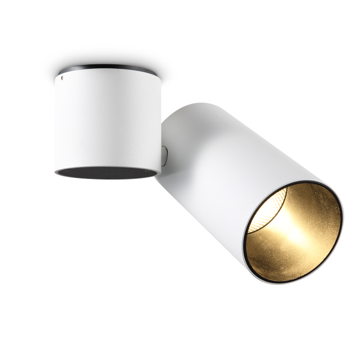 LSP182-WT-COB 12W Led Spot light Surface mount