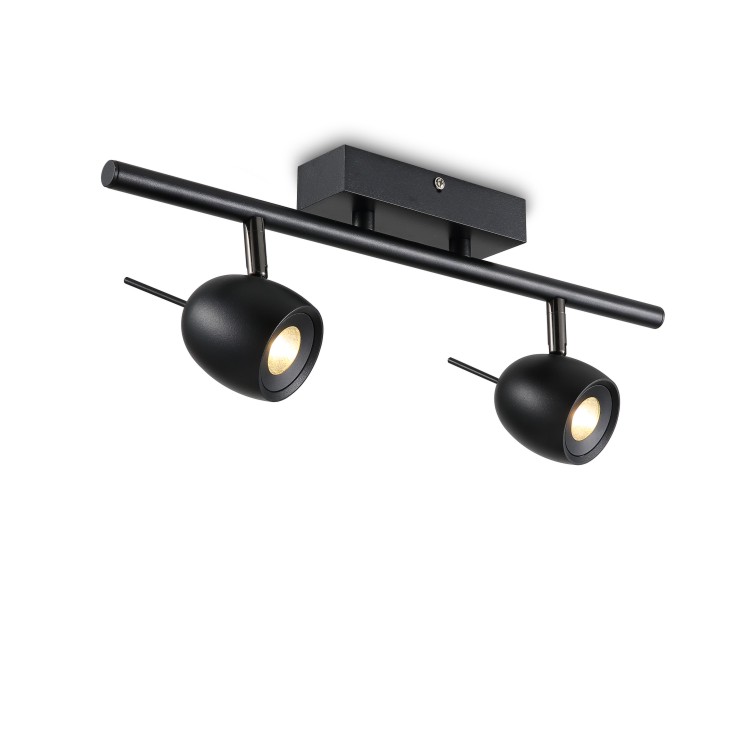 LSP217-2*5W Cob led surface spot light