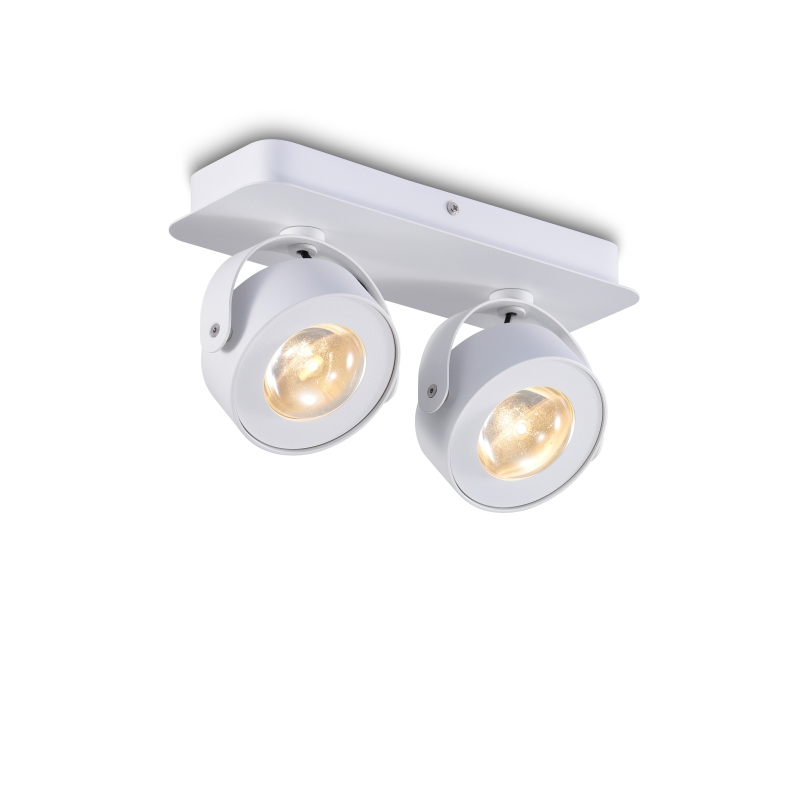 LSP241-WT-2*5W Cob led surface spot light