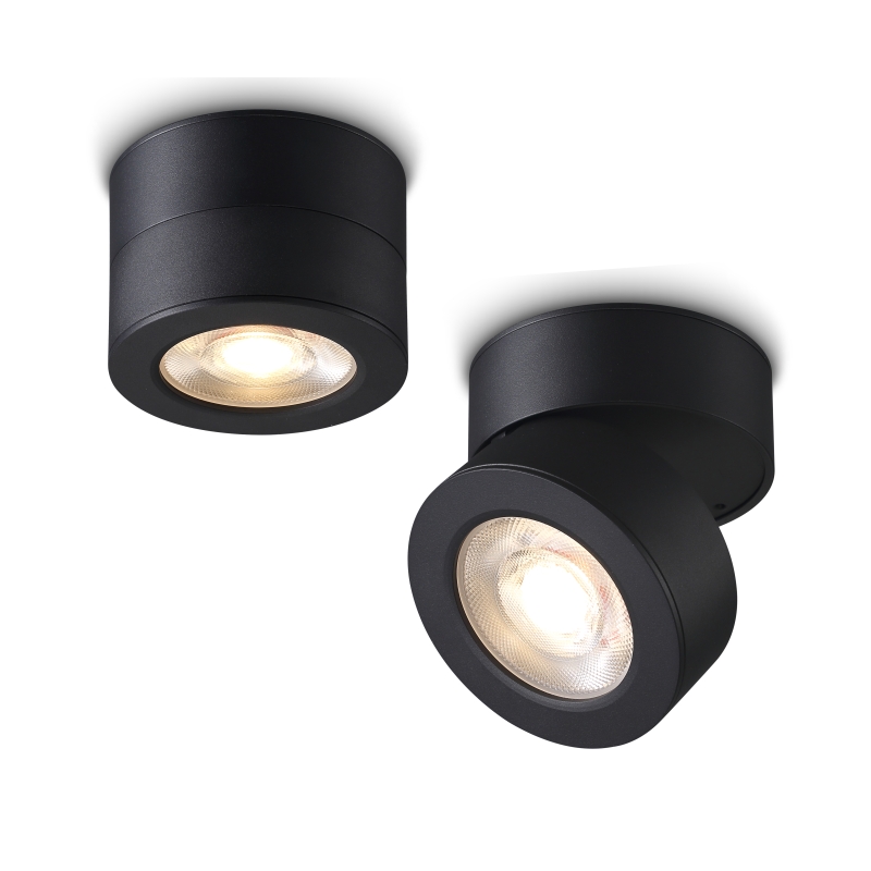 LSP706-BK-12W Cob led surface spot light