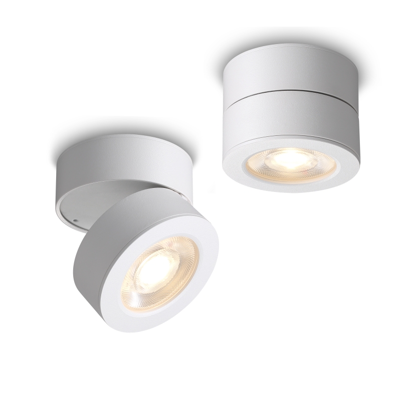 LSP706-WT-12W Cob led surface spot light