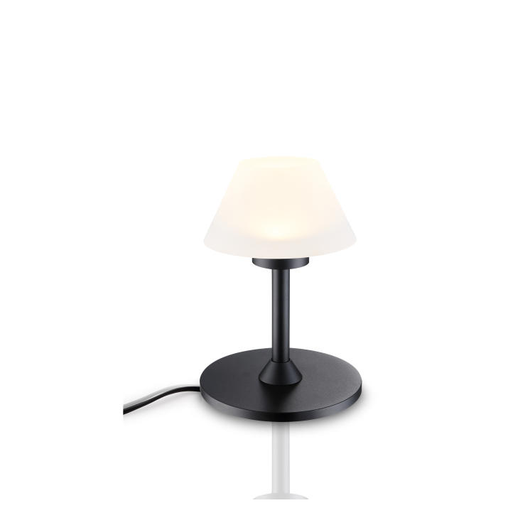 LTL029-BK-3W Led table light