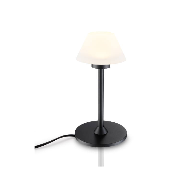 LTL030-BK-3W Led table light