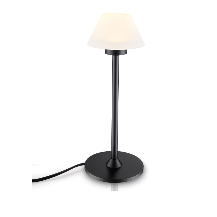 LTL031-BK-3W Led table light