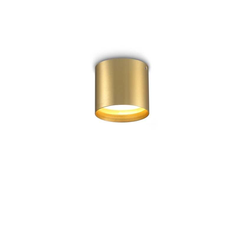 LBL293-GD-6W Led Surface Down Light