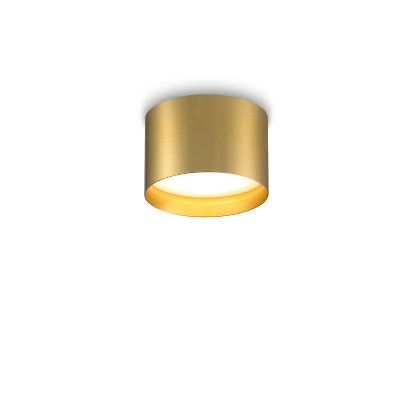 LBL294-GD-12W Led Surface Downlight