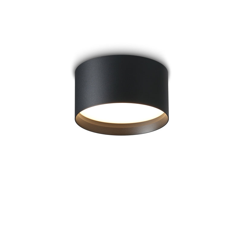 LBL295-BK-20W Indoor Led Surface Down Light