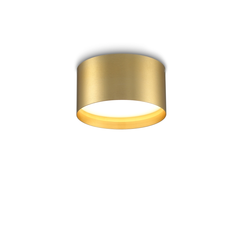 LBL295-GD-20W Indoor Led Surface Down Light