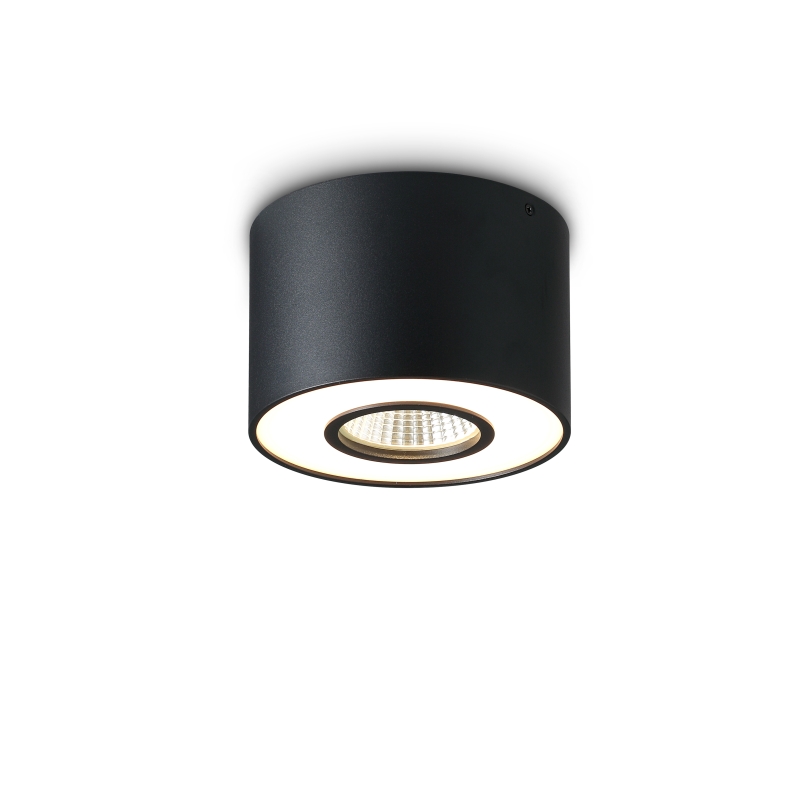 LBL297-BK-12W+12W Led Surface Down Light
