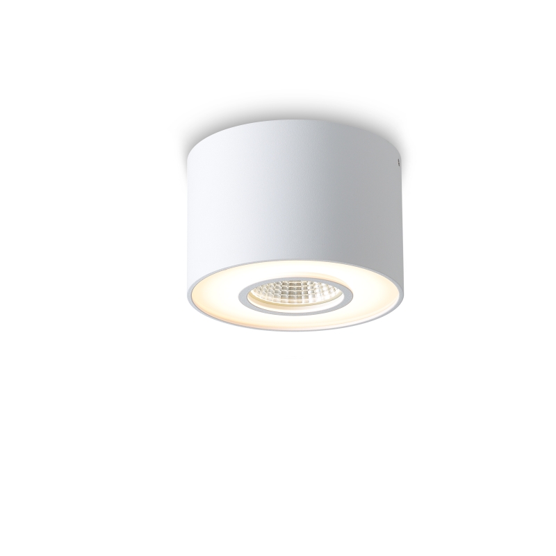 LBL297-WT-12W+12W Led Surface Down Light
