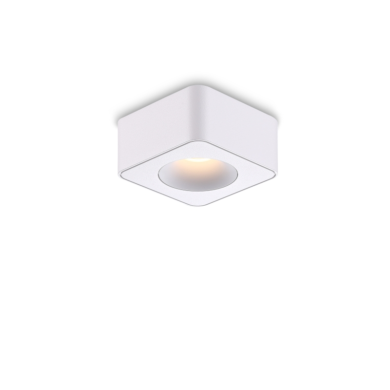 LBL721-WT-8W Led Surface Down Light