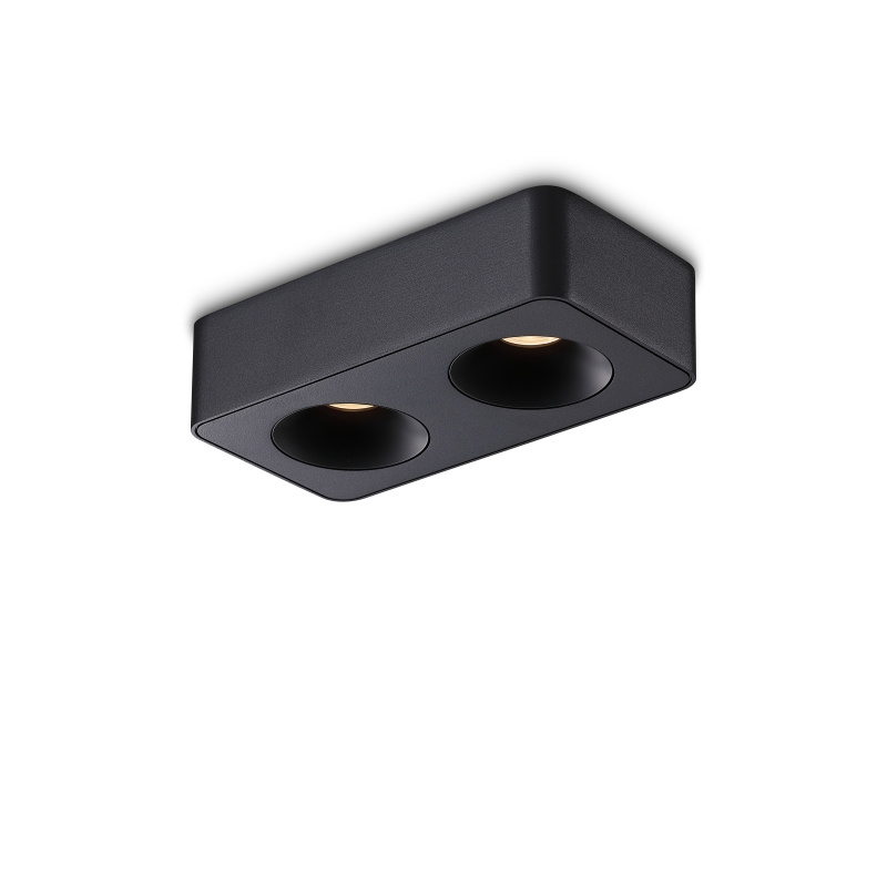 LBL722-BK-2*8W Led Ceiling Down Light