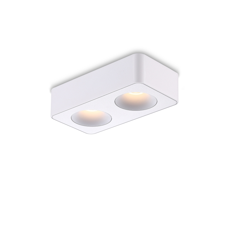LBL722-WT-2*8W Led Surface Down Light