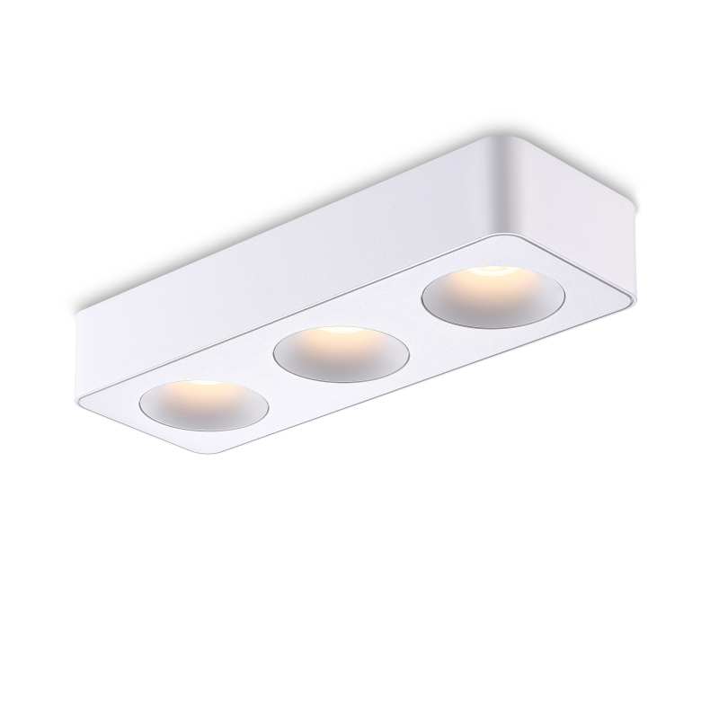 LBL723-WT-3*8W Led surface down light