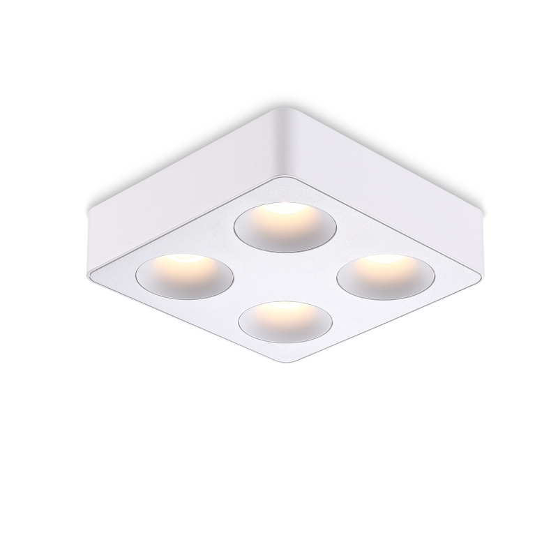 LBL724-WT-4*8W Led Surface Down Light