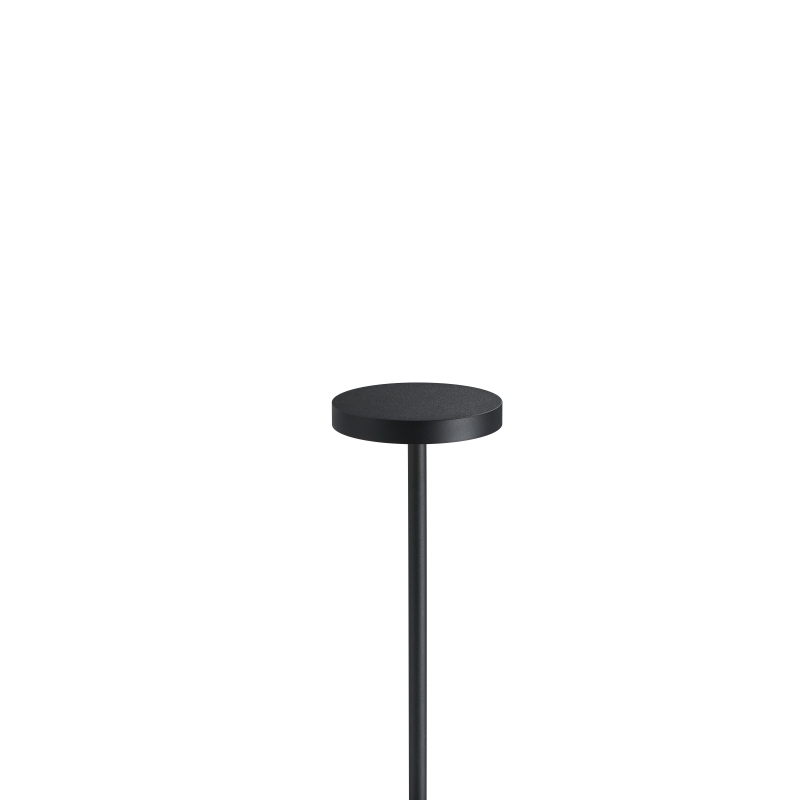LFL063-10W led outdoor garden light