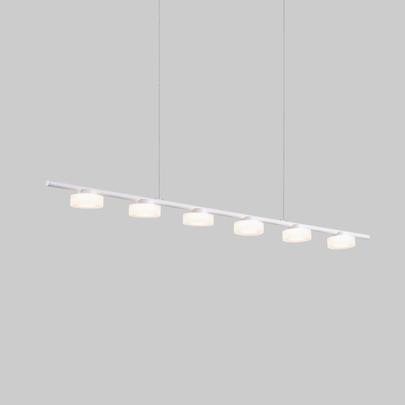LPL407-WT-6*3W Indoor led pendant light