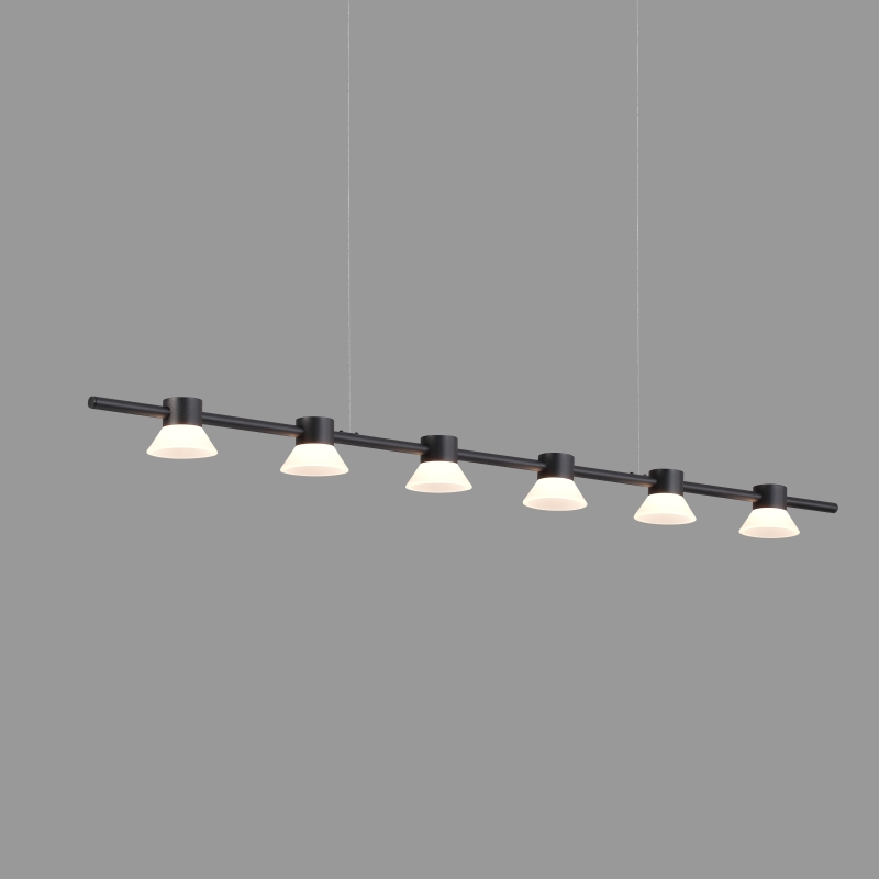 LPL409-BK-6*3W Indoor led pendant light