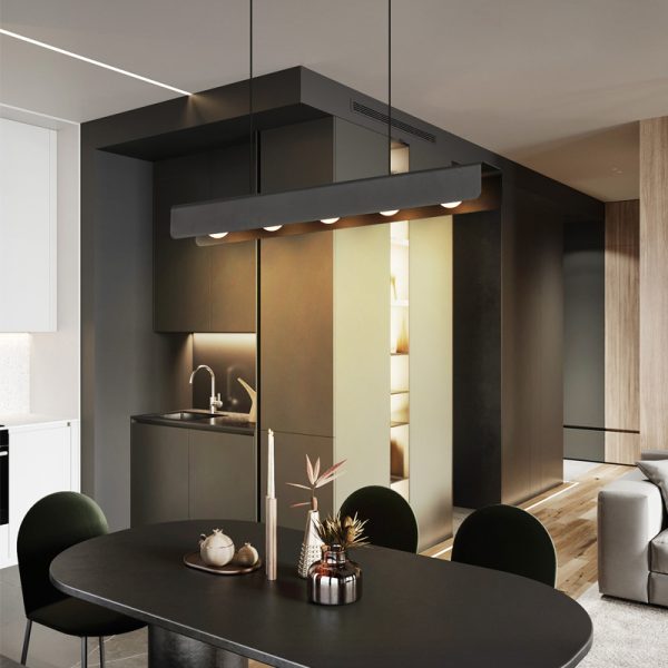 LPL410-BK-5*3W Indoor Led Pendant Light - Image 2
