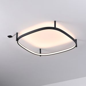 LBL359-Surface ring led ceiling light