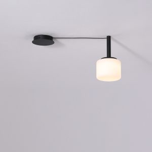 LBL343-Glass Shade Led Pendant Light