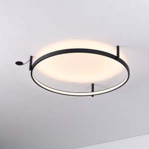 LBL354-Surface ring led ceiling light