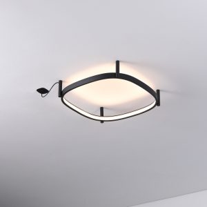 LBL357-Surface ring led ceiling light