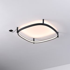LBL358-Surface ring led ceiling light