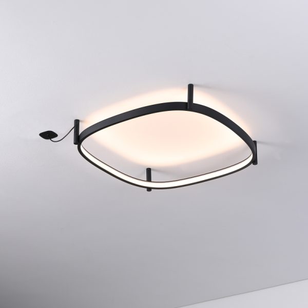 LBL358-Surface ring led ceiling light
