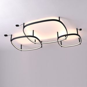 LBL361-Surface ring led ceiling light