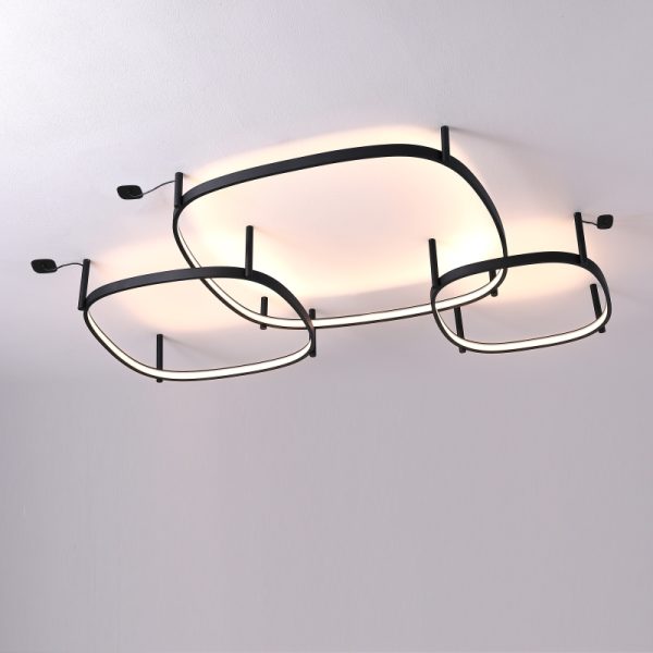 LBL361-Surface ring led ceiling light