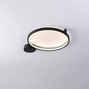 LBL362-Surface mount led ceiling light