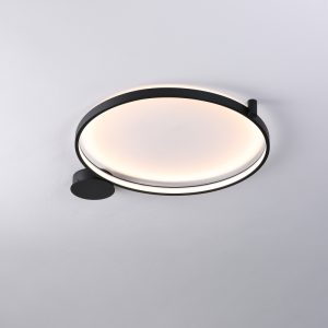 LBL363-Surface mount led ceiling light
