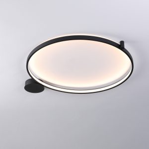 LBL364-Surface mount led ceiling light