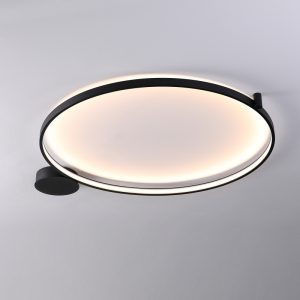 LBL365-Surface mount led ceiling light